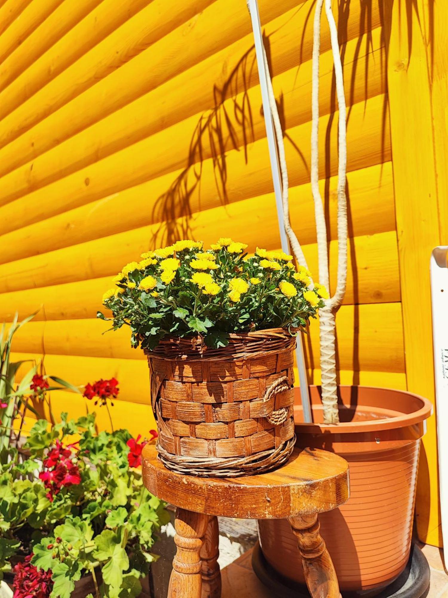 Guest House Nizama'S Place SJJ Exterior foto