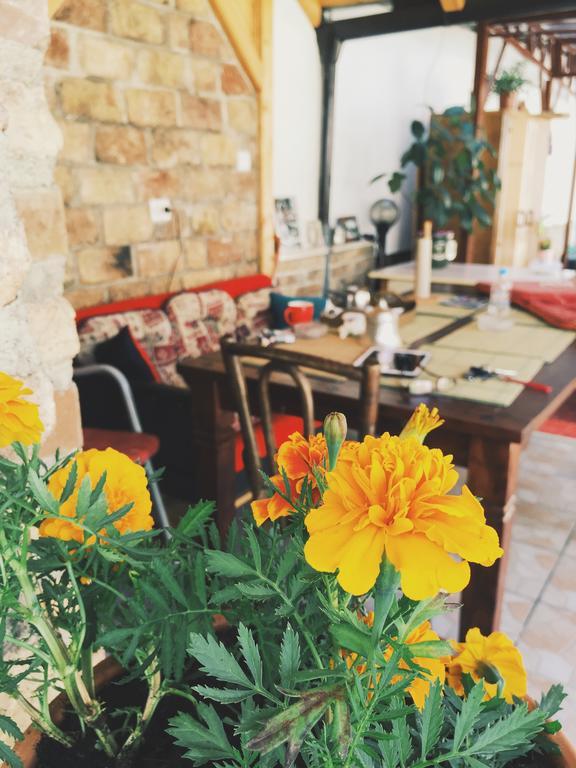 Guest House Nizama'S Place SJJ Exterior foto