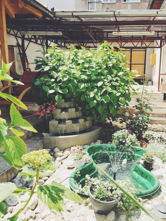 Guest House Nizama'S Place SJJ Exterior foto